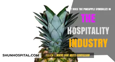Pineapple Symbolism: Unveiling Its Meaning in Hospitality Traditions