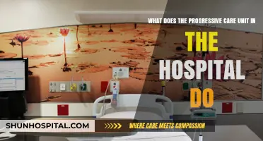 Progressive Care Unit: Understanding Its Role in Hospital Patient Care