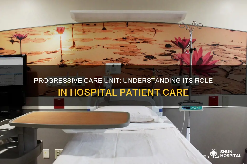 what does the progressive care unit in the hospital do