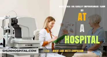 Enhancing Patient Care: The Role of Hospital Quality Improvement Teams