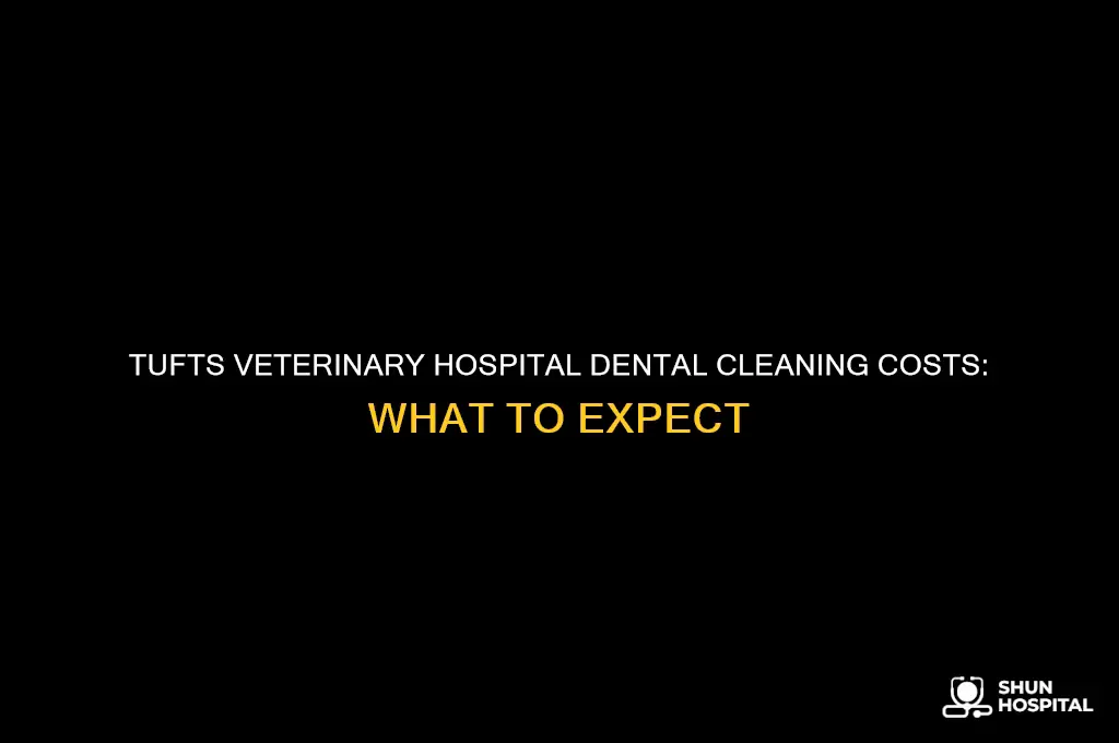 what does tufts vetinary hospital charge for dental cleaning