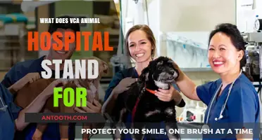 VCA Animal Hospitals: What Does the Acronym Stand For?