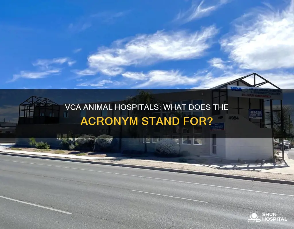 what does vca animal hospital stand for