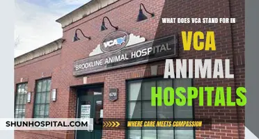 Understanding VCA: Decoding the Acronym Behind VCA Animal Hospitals