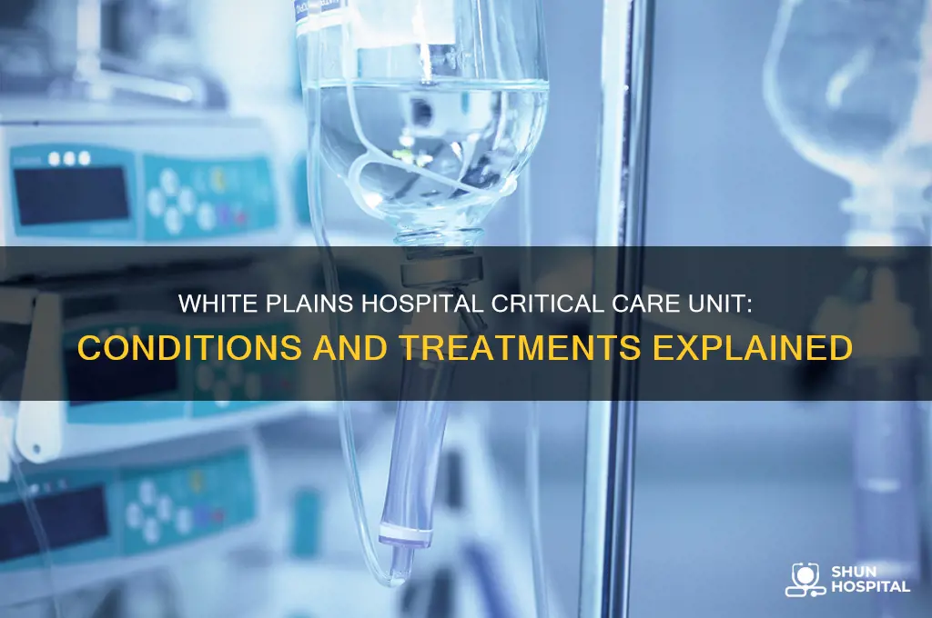 what does white plains hospital critical care unit treat
