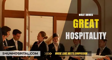 The Heart of Hospitality: Key Drivers Behind Exceptional Guest Experiences