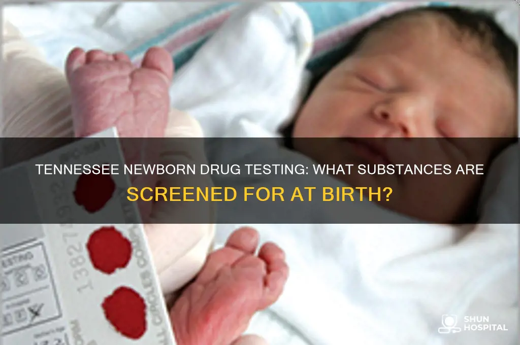 what drug do hospitals test newborns for in tennessee