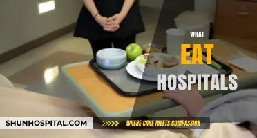 What Do Hospitals Serve? Exploring Patient Meals and Nutritional Care