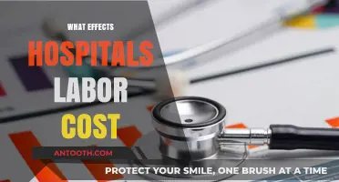 Factors Influencing Hospital Labor Costs: Challenges and Strategies