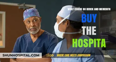 Derek and Meredith's Hospital Purchase: Which Grey's Anatomy Episode?