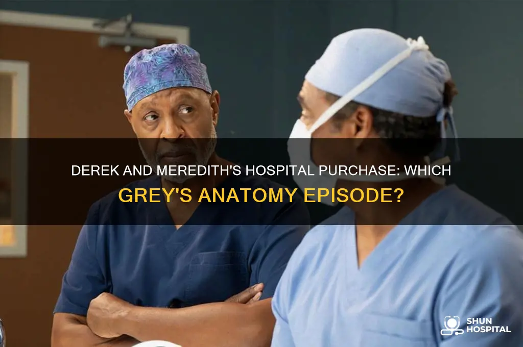 what eisode do derek and meredith buy the hospita