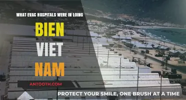 Evacuation Hospitals in Long Bien, Vietnam: A Historical Overview