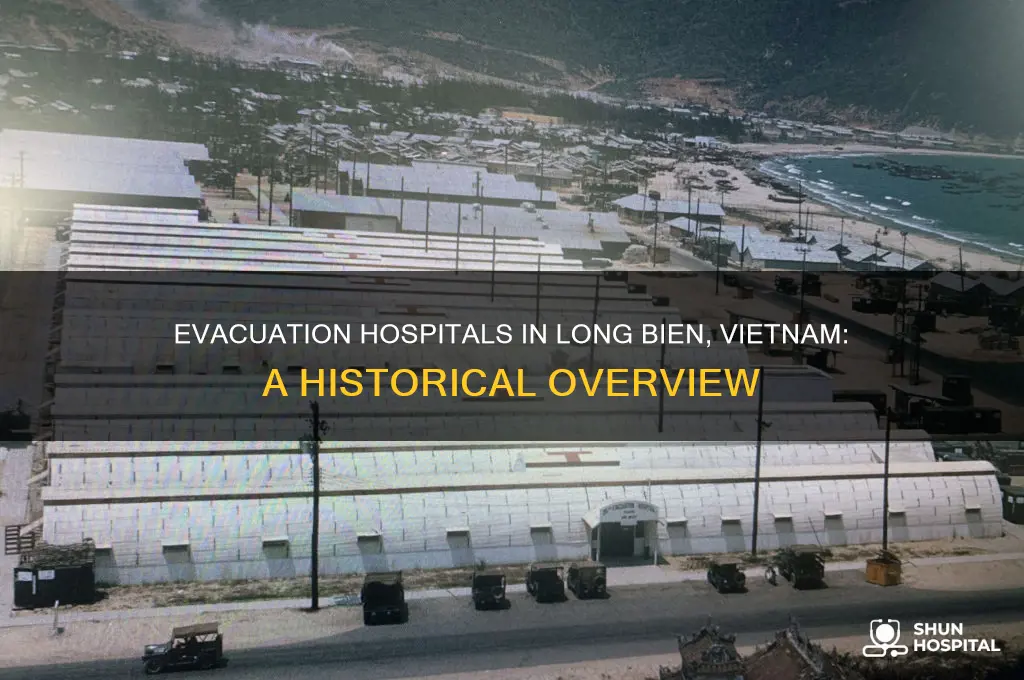 what evac hospitals were in loing bien viet nam