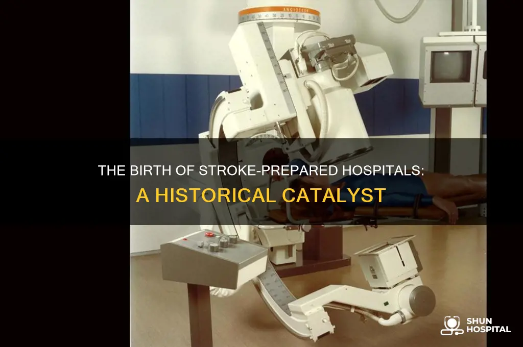 what event predicated the idea of a stroke-prepared hospital