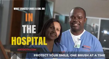Understanding the Role of a CNL in Hospital Patient Care