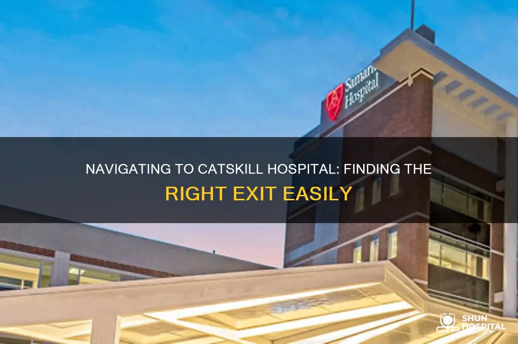 what exit is catskill hospital