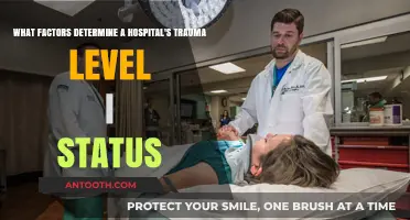 Key Factors Defining a Hospital's Trauma Level I Status