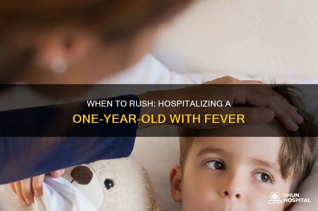 what fever should a one year old to hospital