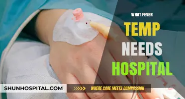 When to Seek Hospital Care for High Fever Temperatures