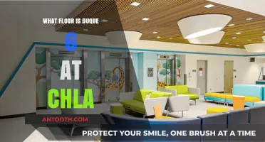 Finding Duque 6: CHLA Floor Guide