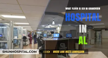 ICU Location Guide: Finding Critical Care at Grandview Hospital, AL