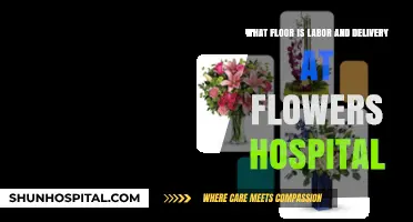 Finding Labor and Delivery at Flowers Hospital: Floor Guide for Expectant Parents