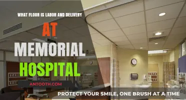 Finding Labor and Delivery at Memorial Hospital: Floor Guide for Expectant Parents