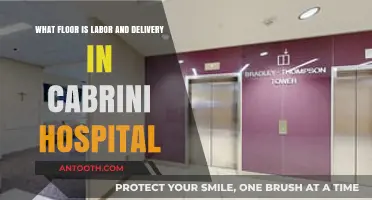 Finding Labor & Delivery at Cabrini Hospital: Floor Guide for Expectant Parents