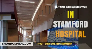 Finding Stamford Hospital's Pulmonary Department: Floor Guide for Visitors