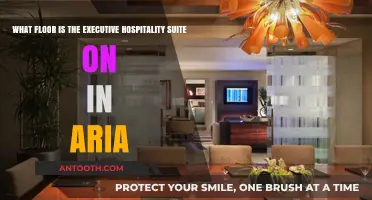 Aria's Executive Hospitality Suite: Discover the Floor and Amenities