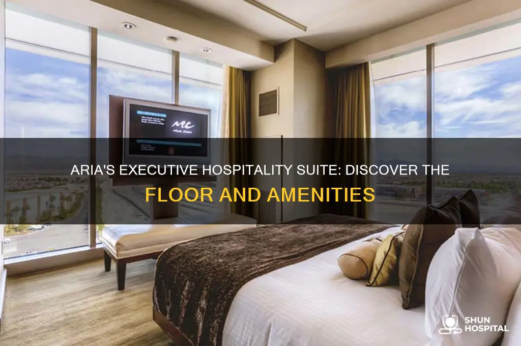 what floor is the executive hospitality suite on in aria