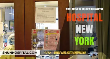 Finding the ICU at Bellevue Hospital: A New York Guide