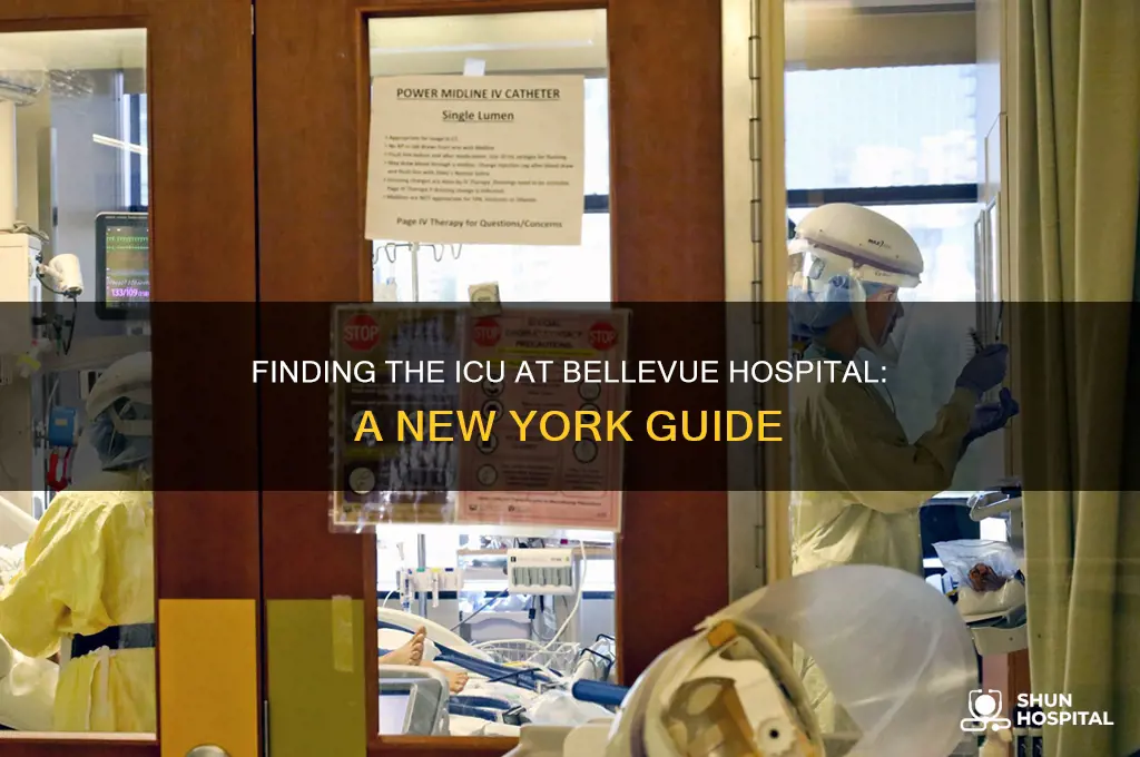 what floor is the icu in bellevue hospital new york