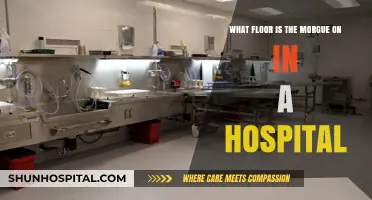 Where is the Morgue Located in a Hospital?