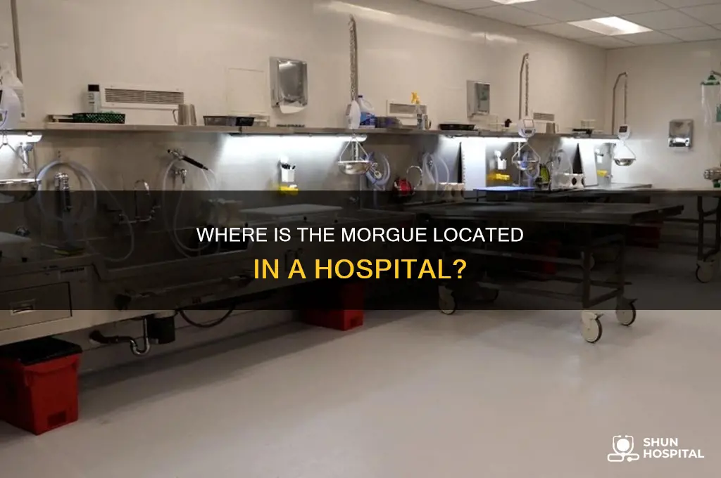 what floor is the morgue on in a hospital