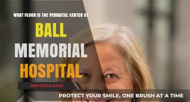 Finding the Perinatal Center: Ball Memorial Hospital Floor Guide