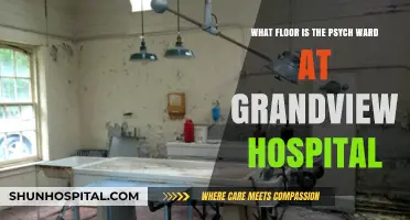 Finding the Psych Ward: Navigating Grandview Hospital's Floor Layout
