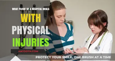 Emergency Department: Hospital Floor for Treating Physical Injuries Explained
