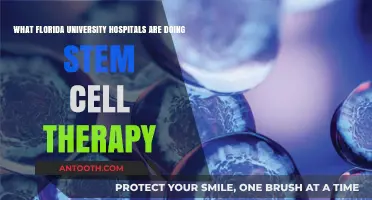 Florida University Hospitals Pioneering Stem Cell Therapy Innovations and Advances
