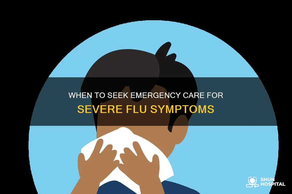 what flu symptoms warrant hospital