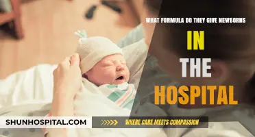 Newborn Hospital Formula: What Do They Feed Babies After Birth?