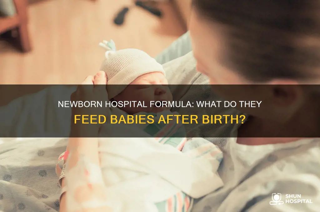 what formula do they give newborns in the hospital