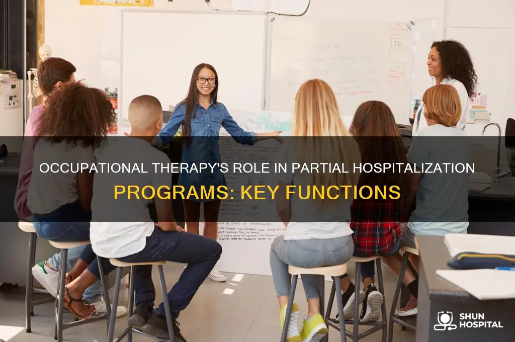 what functions have an occupational therapist in partial hospitalization