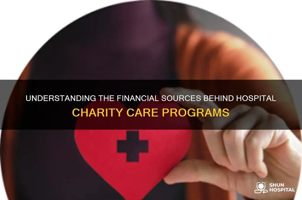 what funds hospital charity care