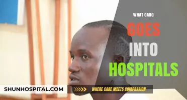 Hospital Gangs: Uncovering Criminal Networks Infiltrating Healthcare Facilities