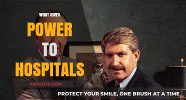 Unveiling the Forces Behind Hospital Authority and Influence