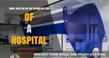 Inside the Pathology Lab: Unveiling Hospital Diagnostics and Testing Secrets