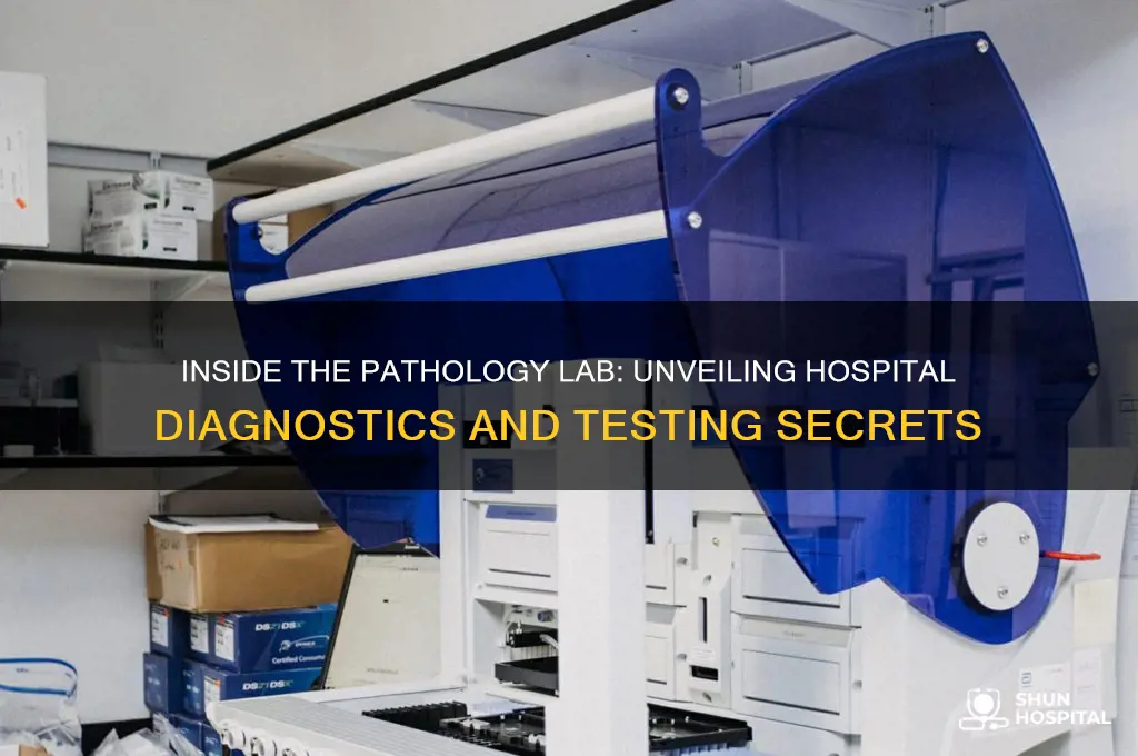 what goes on on the pathology lab of a hospital
