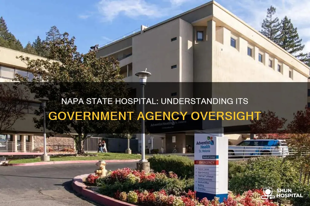 what government agency does napa state hospital fall under