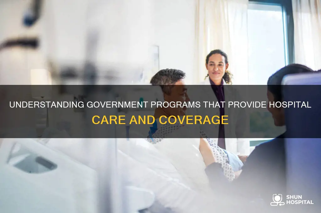 what government program provides hospital